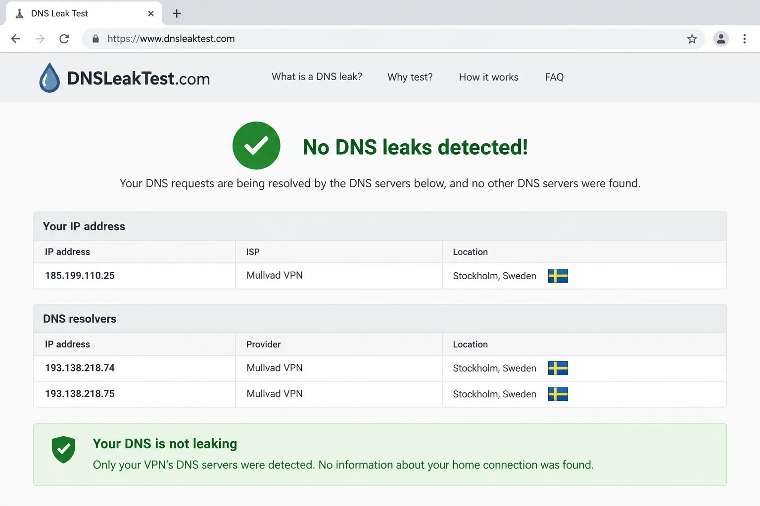 A browser DNS leak test page showing only the VPN server's IP address and DNS resolvers, with no home connection details visible.
