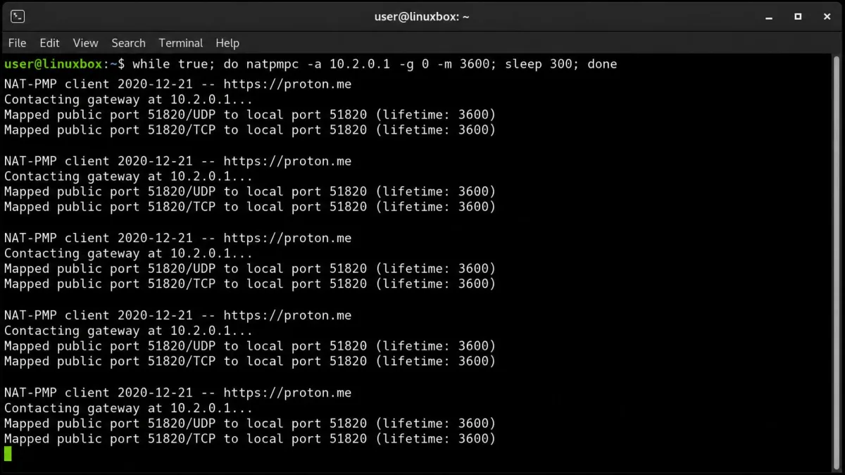 Linux terminal running Proton's natpmpc renewal loop against 10.2.0.1, each pass showing a Mapped public port line for UDP and TCP.