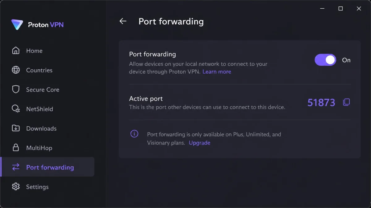 Proton VPN Windows sidebar with Port forwarding switched on and the active port number shown.