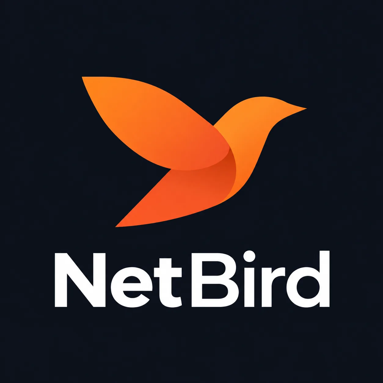 NetBird logo