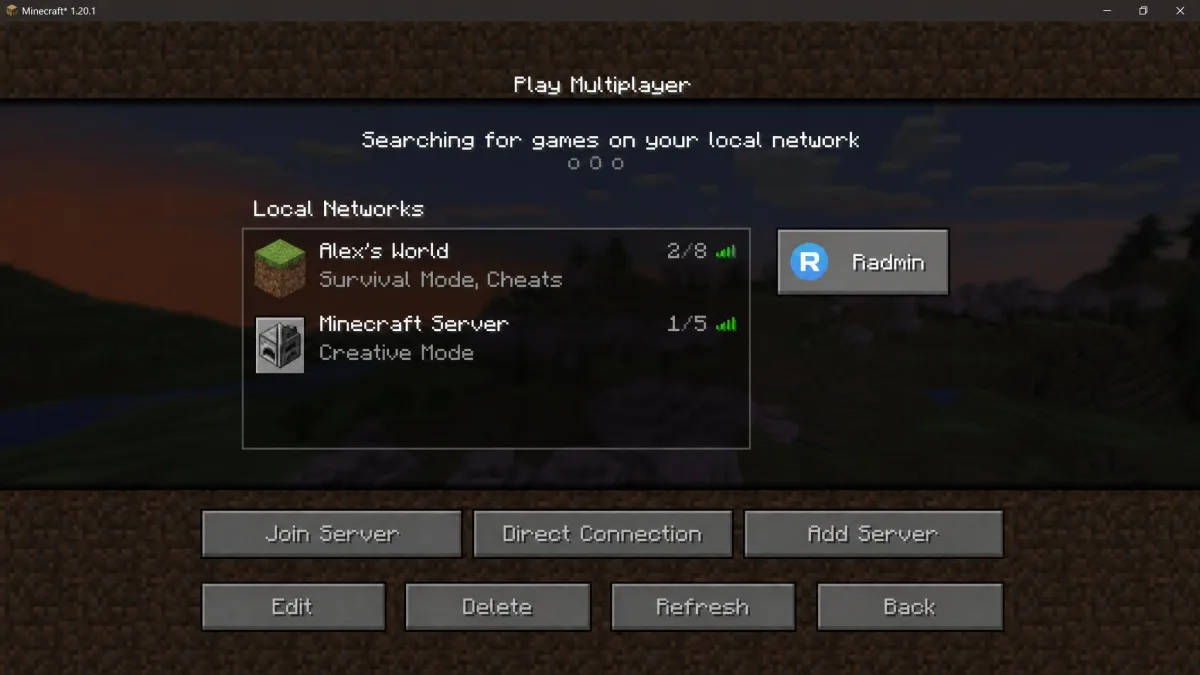 Minecraft 1.20.1's multiplayer menu with the Radmin Connect mod installed, showing its added Radmin button beside the local networks list.