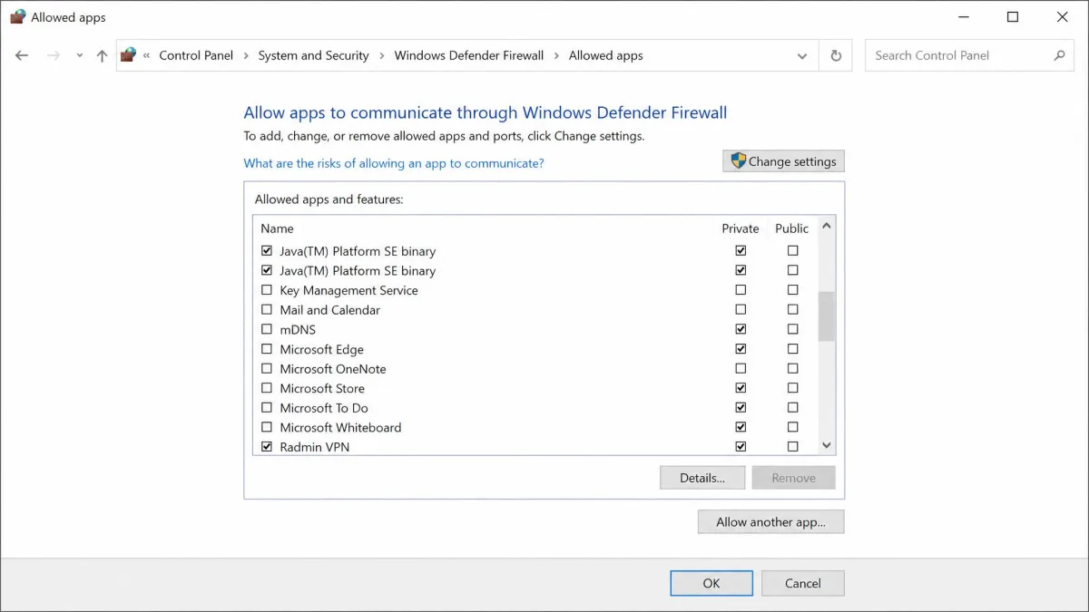 The Windows Defender Firewall "Allowed apps" list with two Java(TM) Platform SE binary entries ticked for Private networks and the Radmin VPN entry added below them.