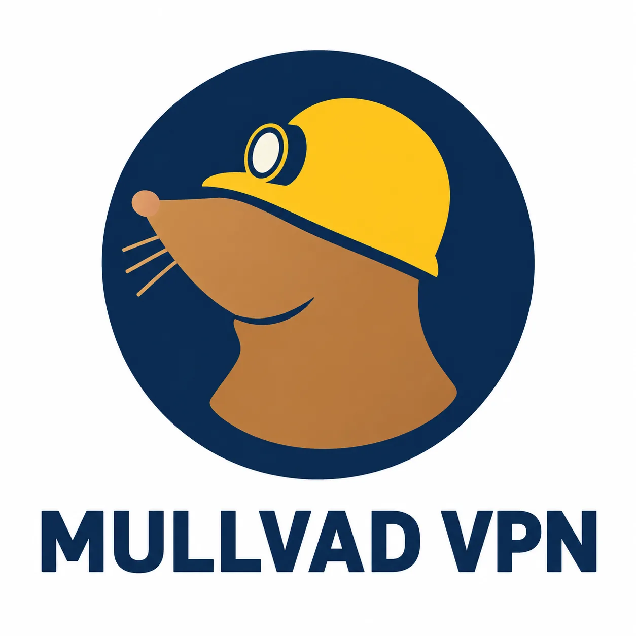 Mullvad VPN logo