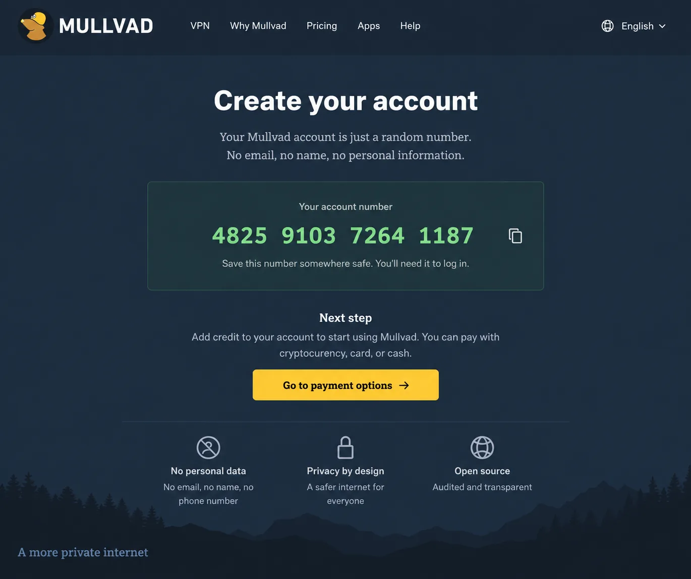 Mullvad's sign-up page displaying a freshly generated 16-digit account number with no email or name fields on the form.