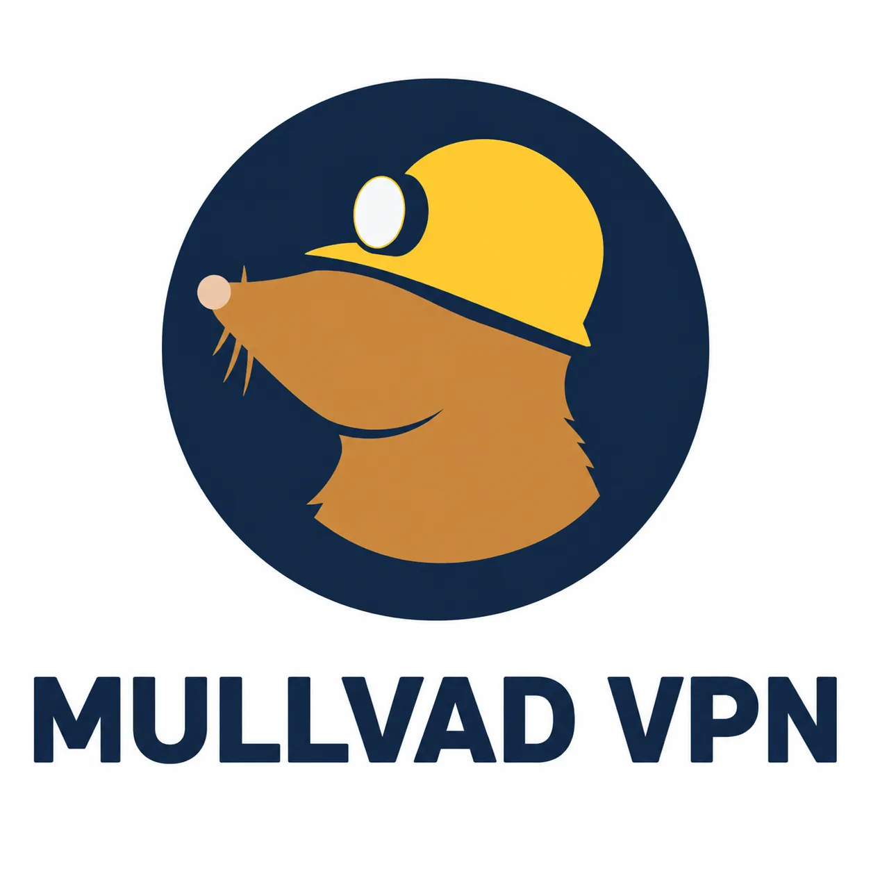 Mullvad VPN logo