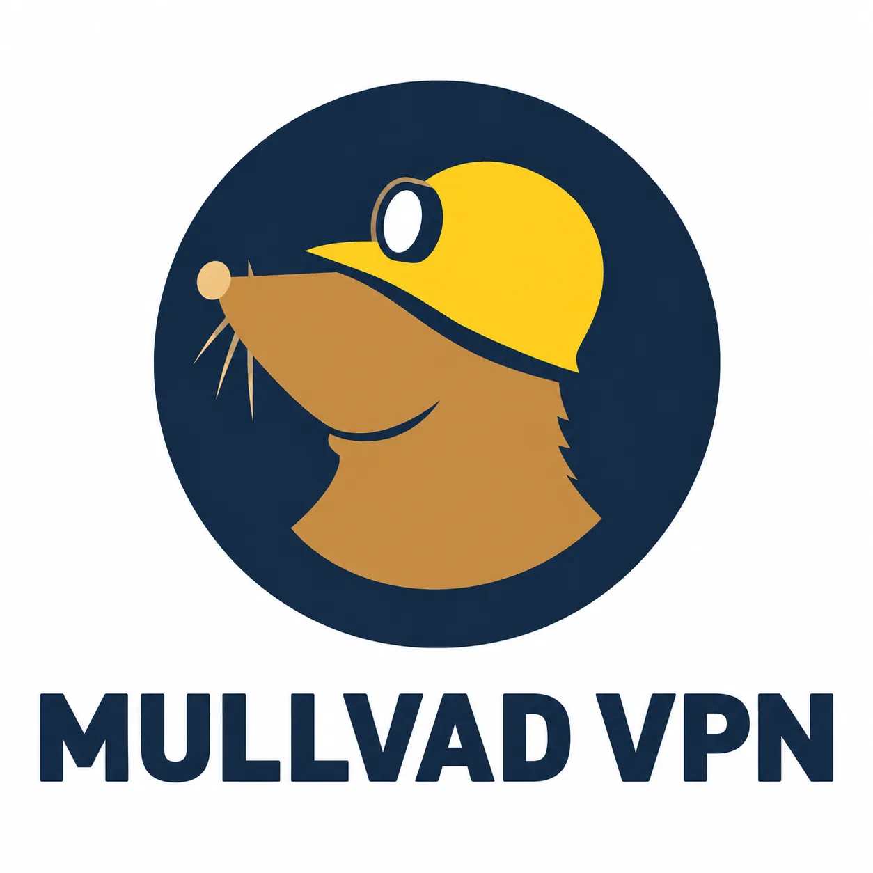 Mullvad VPN logo
