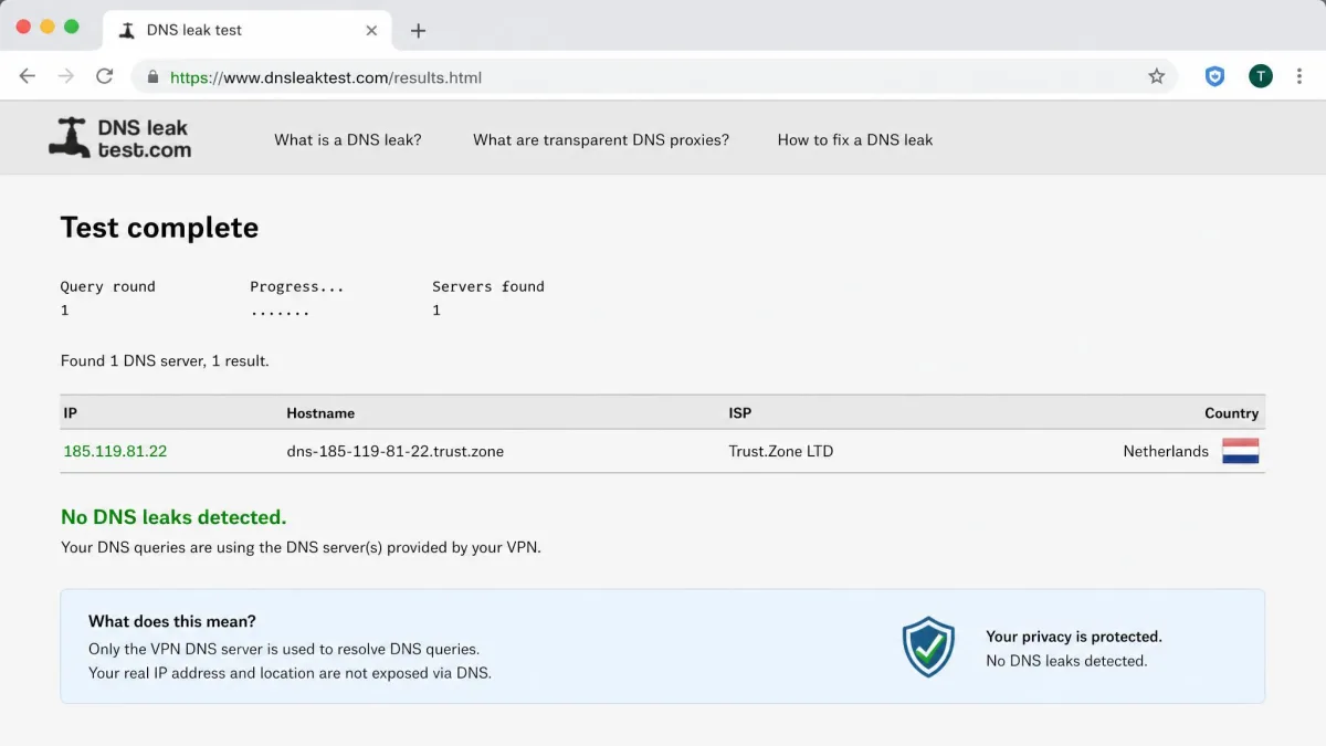 Browser-based DNS leak test result while connected to Trust.Zone, showing only the VPN server location and no exposure of the real IP address.