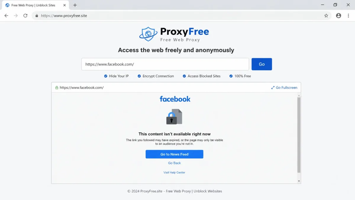 A free web proxy homepage in a browser with a URL entry box, a "Go" button, and a blocked social media site loading inside the proxy frame below it.