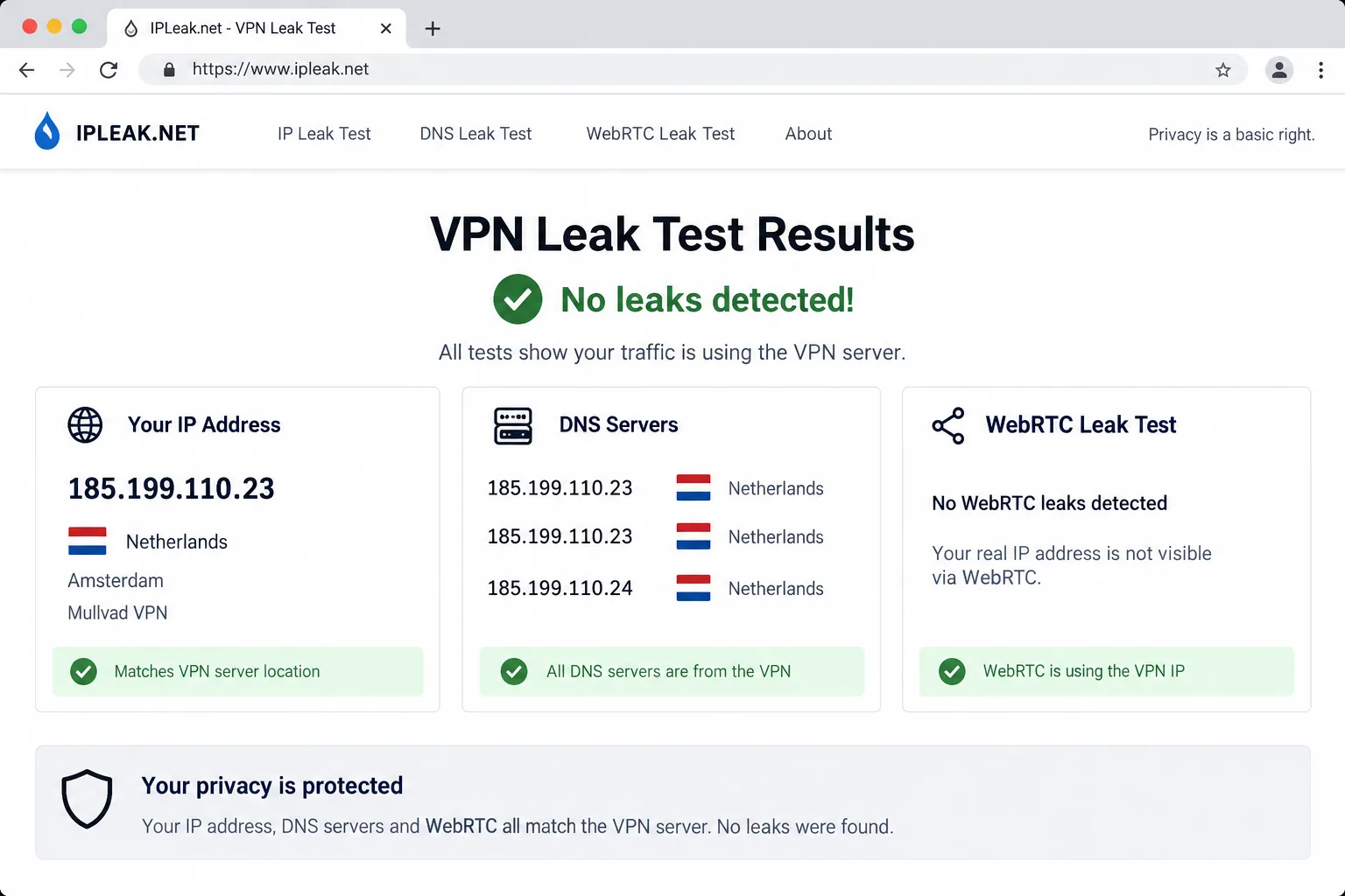 A browser window showing VPN leak test results, with the detected IP address, DNS servers and WebRTC check all matching the VPN server rather than the home connection.