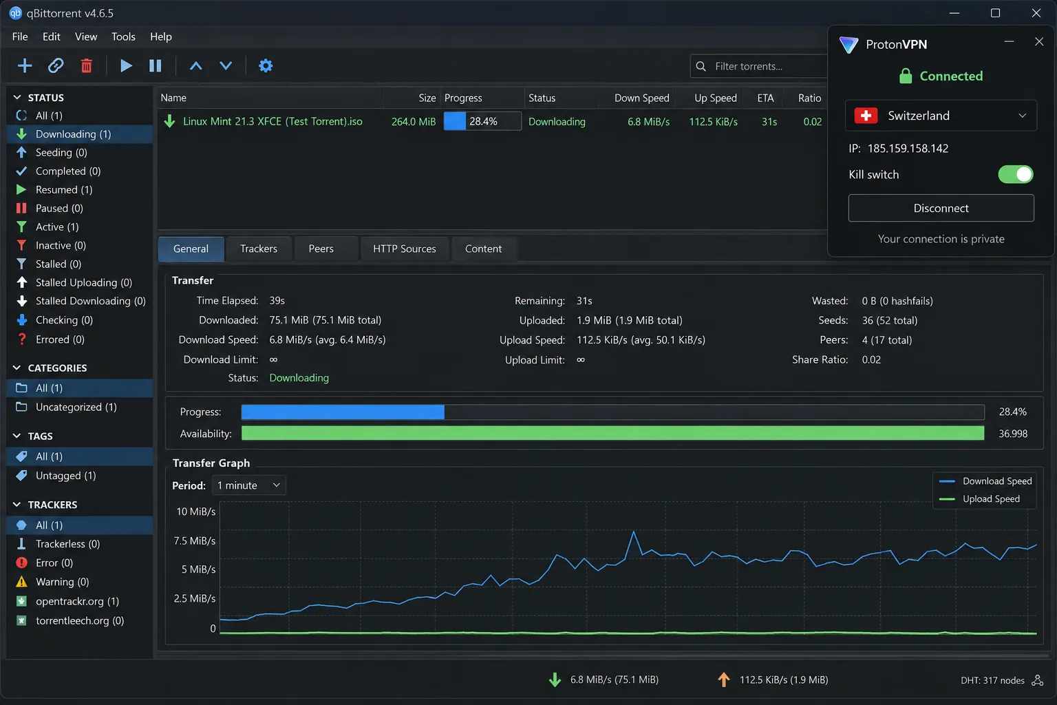 A torrent client's transfer window showing a 264MB test torrent downloading through a VPN, with the speed graph visible.