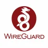 WireGuard logo