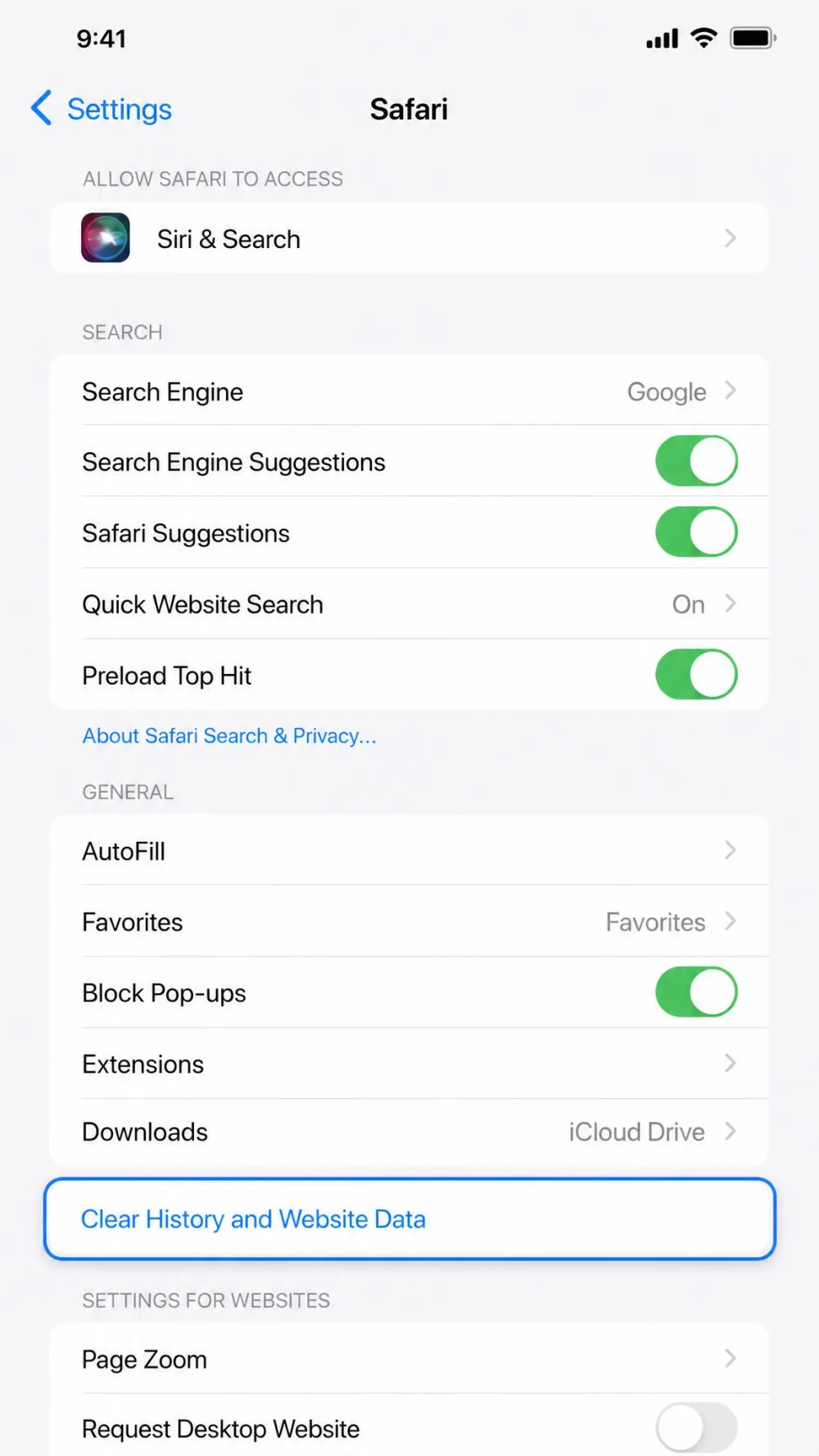 The iPhone Safari settings screen with Clear History and Website Data highlighted.