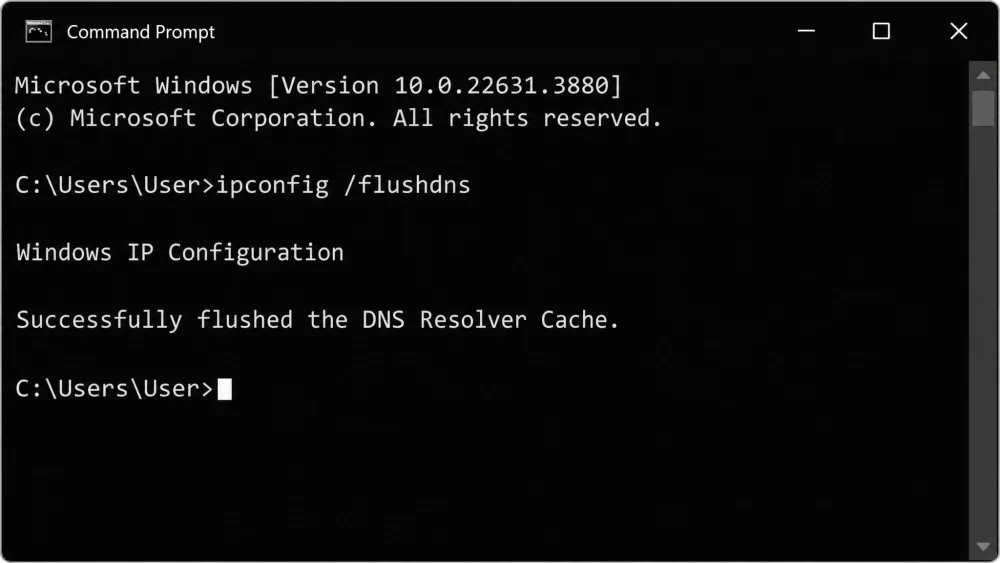 A Windows Command Prompt window showing the command ipconfig /flushdns typed at the prompt and the response line "Successfully flushed the DNS Resolver Cache." below it.