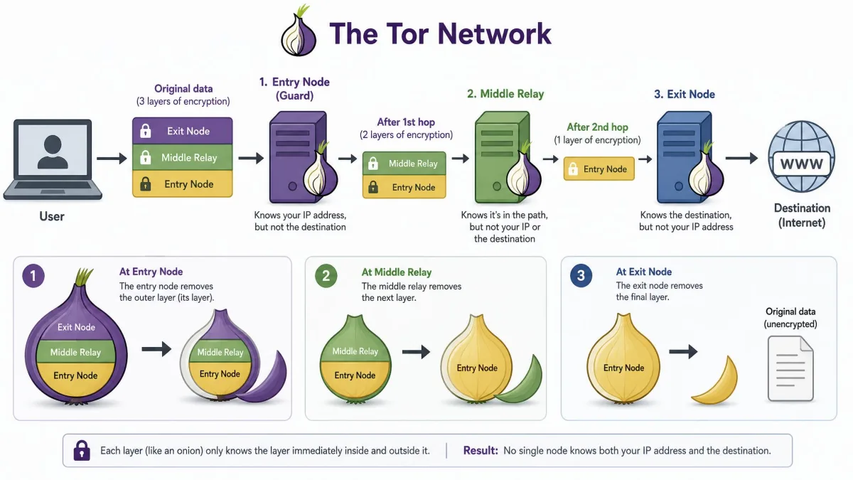 Illustration of the Tor network showing traffic passing through an entry node, a middle relay, and an exit node, with one encryption layer peeled off at each hop like an onion.