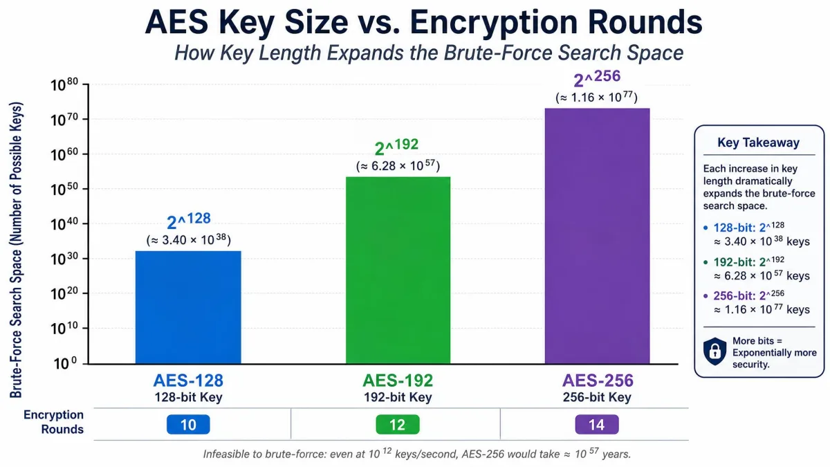 Bar chart comparing AES 128-bit, 192-bit, and 256-bit key sizes against their encryption rounds (10, 12, and 14), illustrating how key length expands the brute-force search space.