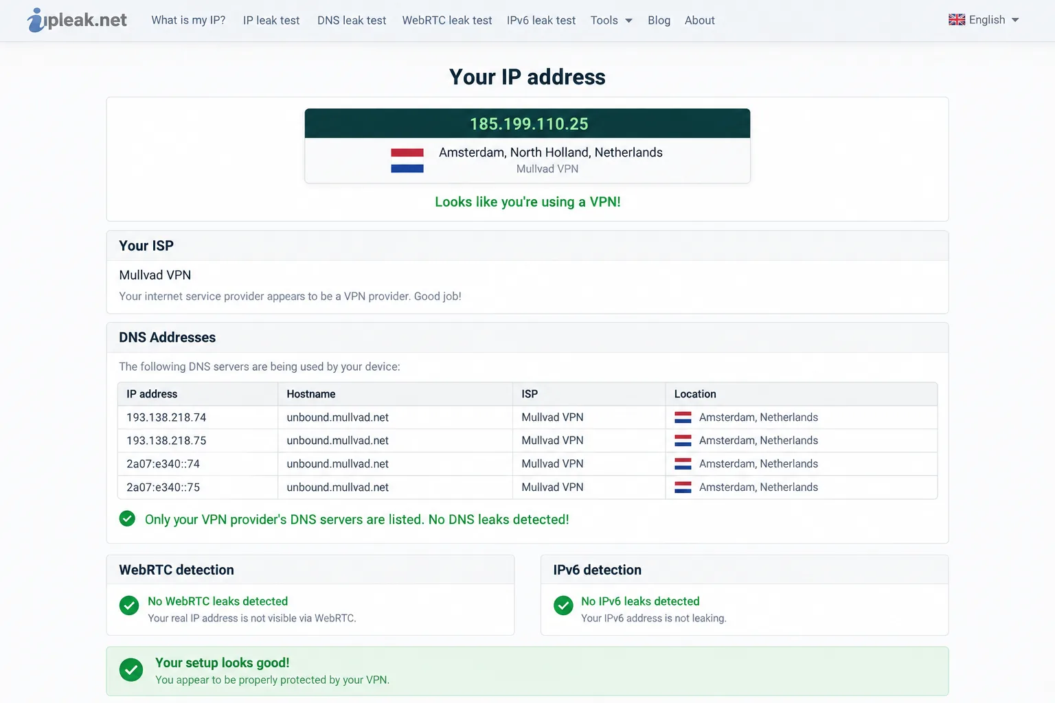 The ipleak.net results page with a VPN connected, showing the VPN server's IP address at the top and a DNS server list that contains only the VPN provider's resolvers.