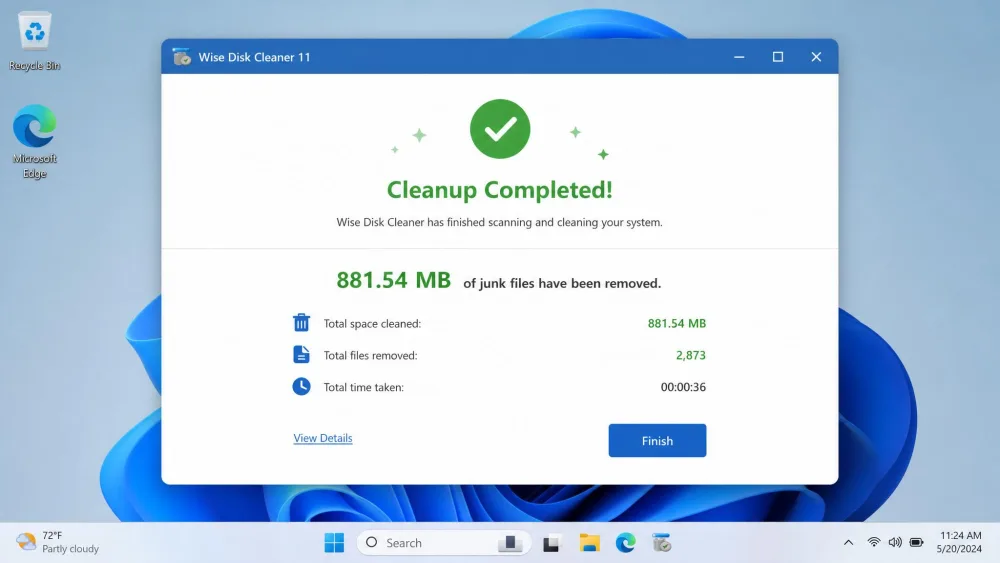 A Wise Disk Cleaner completion screen confirming just over 800 MB of junk cleaned on a Windows 11 PC.