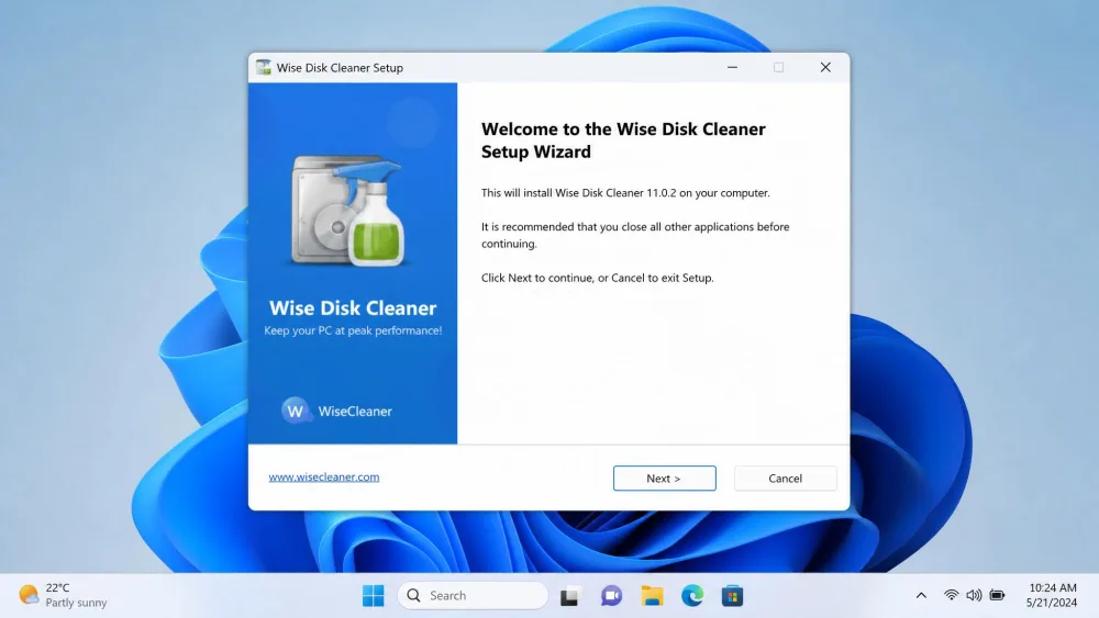 The Wise Disk Cleaner setup wizard on Windows 11 with no bundled-software or toolbar offers on screen.