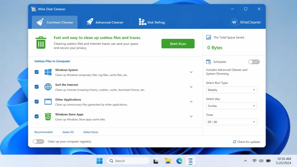 The Wise Disk Cleaner dashboard on Windows 11, showing its Common Cleaner, Advanced Cleaner, and Disk Defrag tabs.
