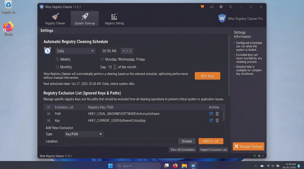 Wise Registry Cleaner settings panel on Windows 11 showing scheduling options for daily, weekly, and monthly automatic cleaning alongside exclusion-list controls.