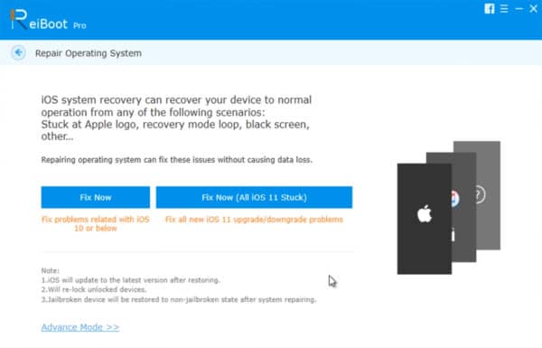 Tenorshare ReiBoot recovery options