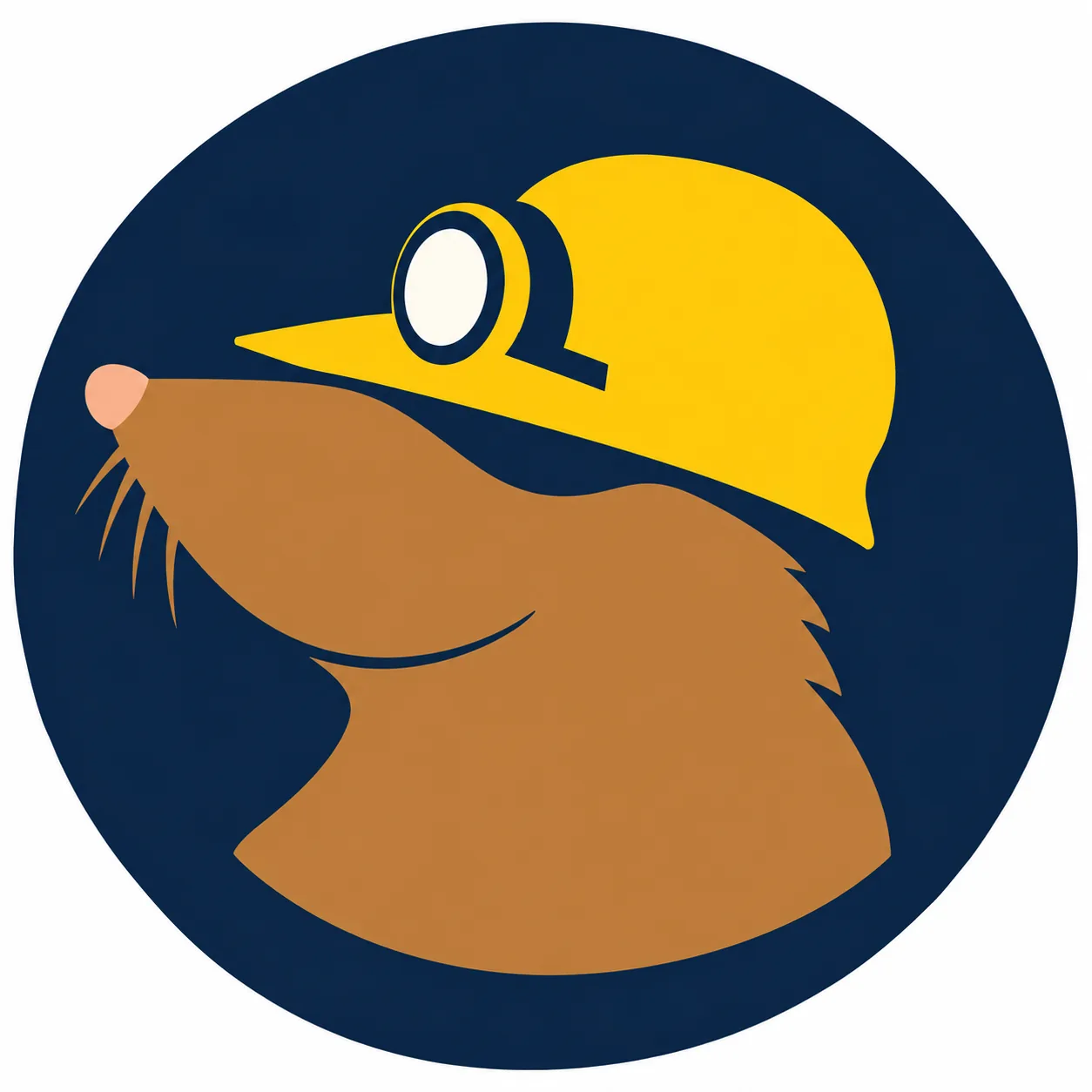 Mullvad VPN logo